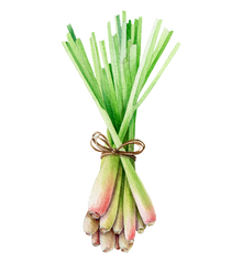 LEMONGRASS