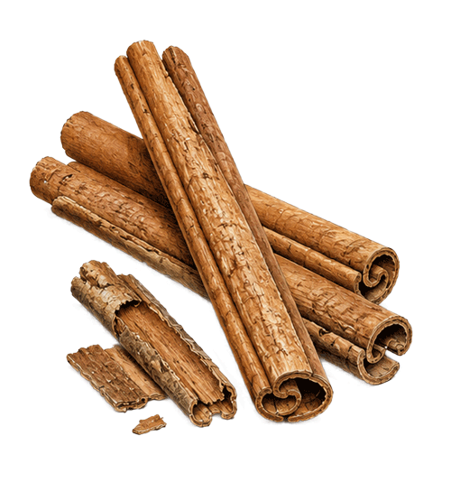 cinnamon stick 