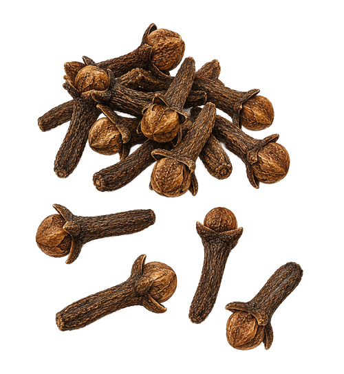 Illustration cloves