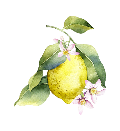 Illustration of a lemon